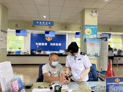 专业税务服务 企业稳健发展的得力助手