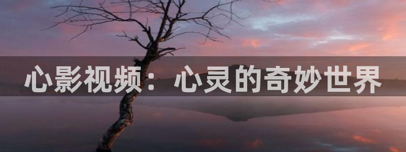 国产麻豆免费视频观看：心影视频：心灵的奇妙世界