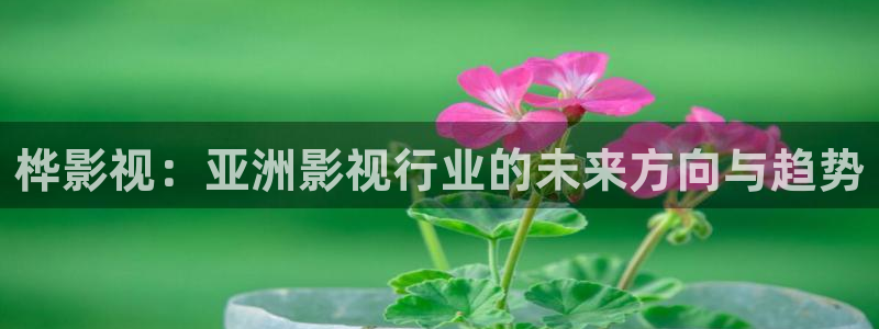 麻豆电影在线观看免费播放：桦影视：亚洲影视行业的未来方向与趋势