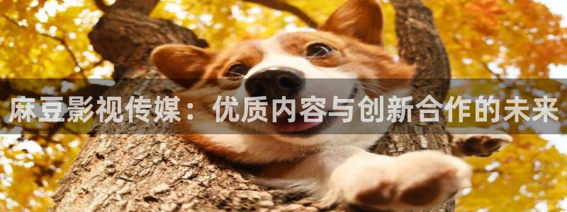 麻豆1级片：麻豆影视传媒：优质内容与创新合作的未来
