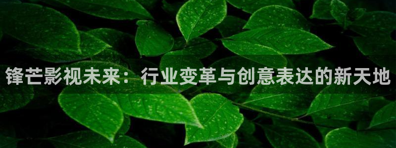 麻豆网站电影