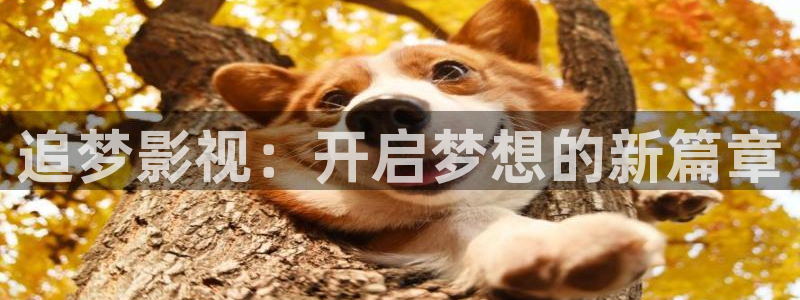 在线 视频 麻豆